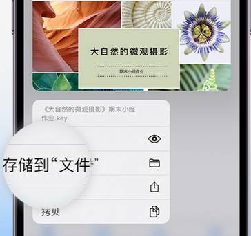 华蓥apple维修中心分享iPhone文件应用中存储和找到下载文件