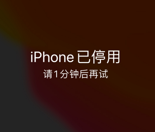 华蓥苹果手机维修分享:iPhone 显示“不可用”或“已停用”怎么办？还能保留数据吗？ 