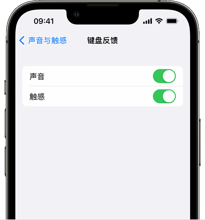 华蓥苹果14维修店分享如何在 iPhone 14 机型中使用触感键盘 