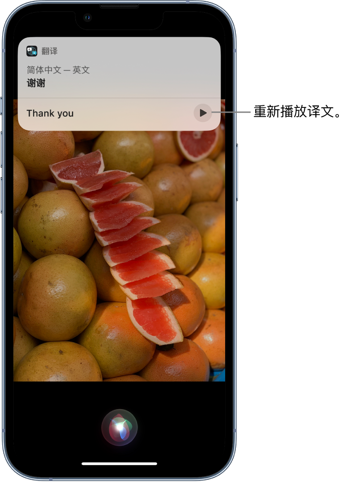 华蓥苹果14维修分享 iPhone 14 机型中使用 Siri：了解 Siri 能帮你做什么 