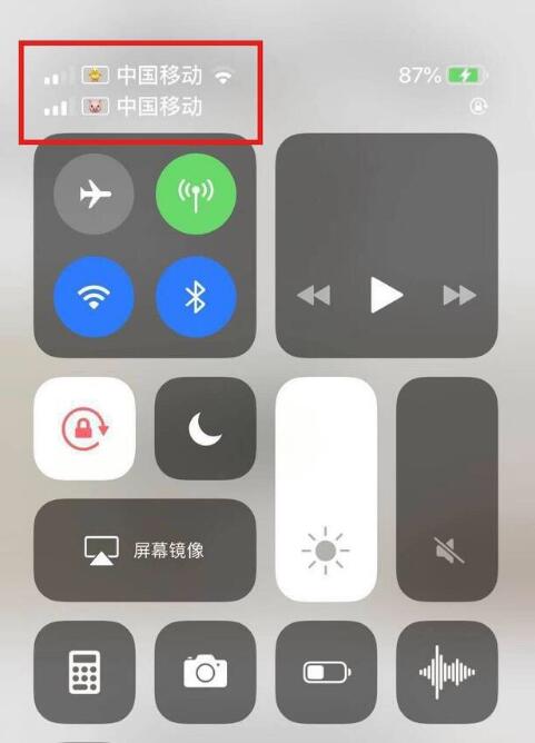 华蓥苹果手机维修分享为 iPhone 12 双卡设置标签 